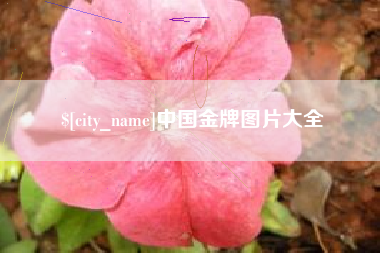 巴中中国金牌图片大全