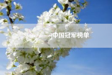 巴中中国冠军榜单