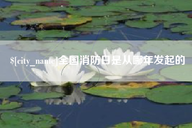 巴中全国消防日是从哪年发起的