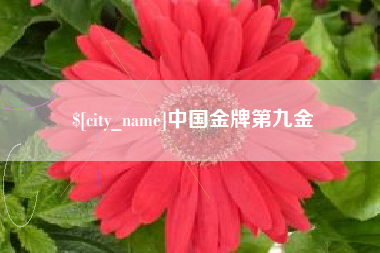 巴中中国金牌第九金