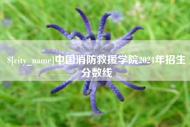 巴中中国消防救援学院2024年招生分数线
