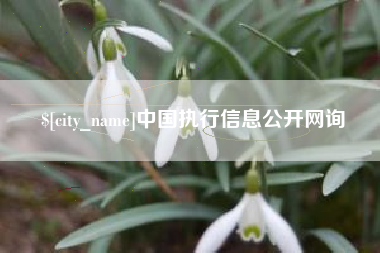 巴中中国执行信息公开网询