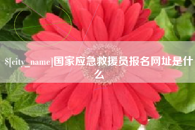 巴中国家应急救援员报名网址是什么