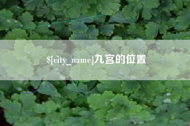 巴中九宫的位置