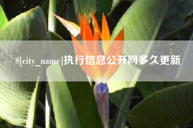 巴中执行信息公开网多久更新