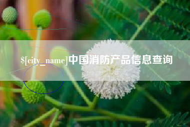 巴中中国消防产品信息查询