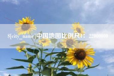 巴中中国地图比例尺1：22000000