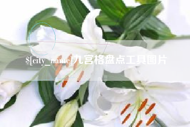巴中九宫格盘点工具图片