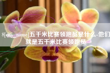 巴中五千米比赛领跑员是什么-他们就是五千米比赛领跑员