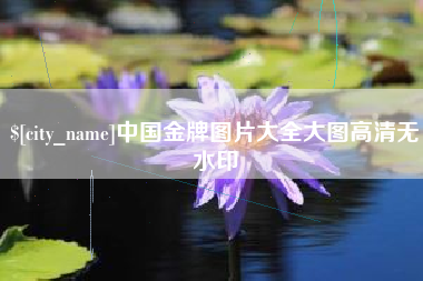 巴中中国金牌图片大全大图高清无水印