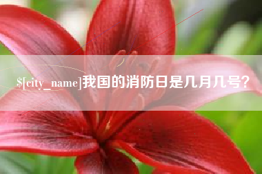巴中我国的消防日是几月几号？