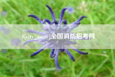 巴中全国消防招考网