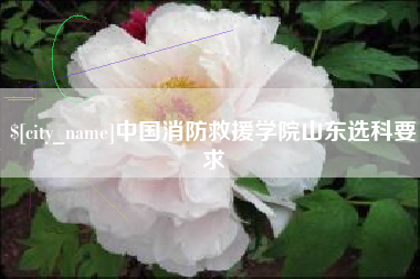 巴中中国消防救援学院山东选科要求