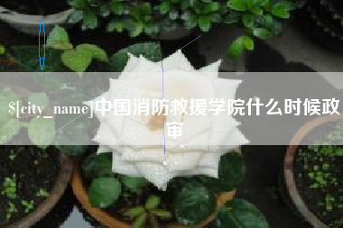 巴中中国消防救援学院什么时候政审