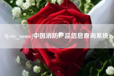巴中中国消防产品信息查询系统1