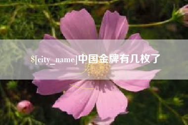 巴中中国金牌有几枚了