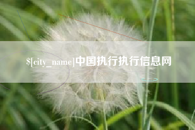 巴中中国执行执行信息网