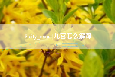 巴中九宫怎么解释