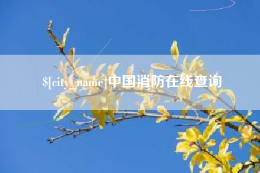 巴中中国消防在线查询