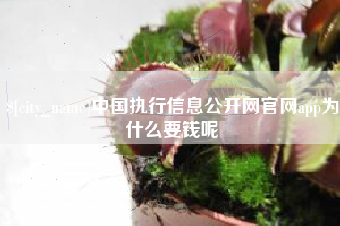 巴中中国执行信息公开网官网app为什么要钱呢