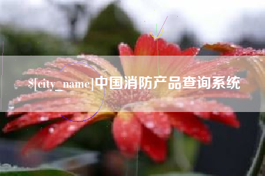 巴中中国消防产品查询系统