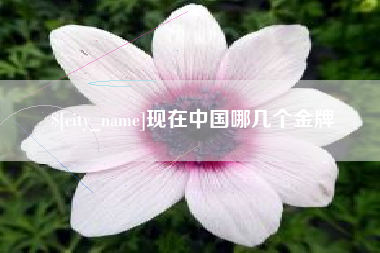 巴中现在中国哪几个金牌