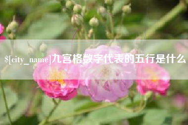巴中九宫格数字代表的五行是什么