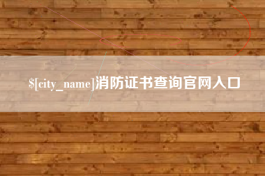 巴中消防证书查询官网入口