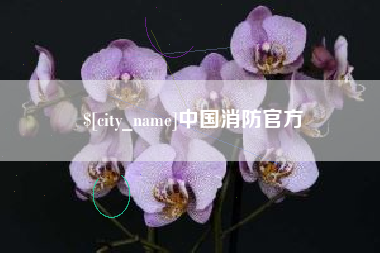 巴中中国消防官方