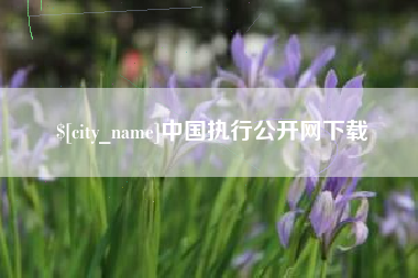 巴中中国执行公开网下载