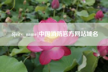 巴中中国消防官方网站域名