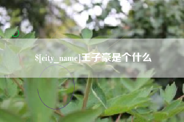 巴中王子豪是个什么