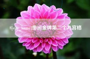 巴中奥运金牌第二个九宫格