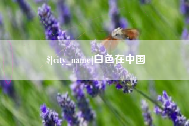 巴中白色在中国