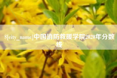 巴中中国消防救援学院2020年分数线