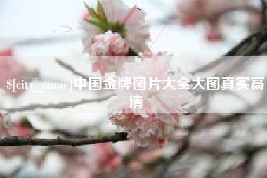 巴中中国金牌图片大全大图真实高清