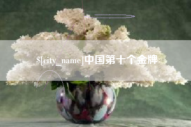 巴中中国第十个金牌