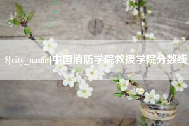 巴中中国消防学院救援学院分数线