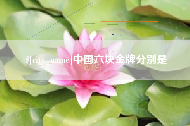 巴中中国六块金牌分别是