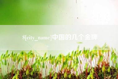 巴中中国的几个金牌