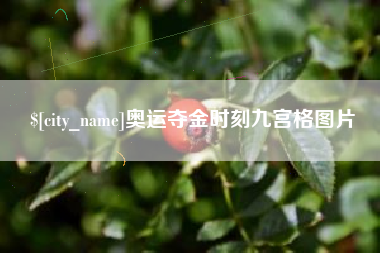 巴中奥运夺金时刻九宫格图片