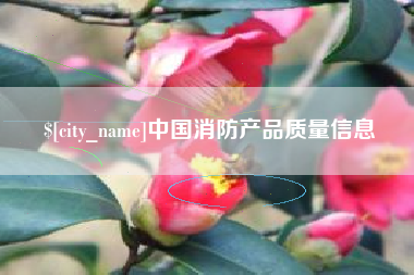 巴中中国消防产品质量信息