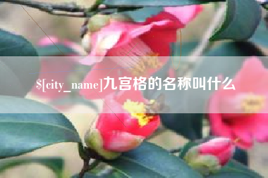 巴中九宫格的名称叫什么