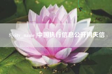 巴中中国执行信息公开网失信