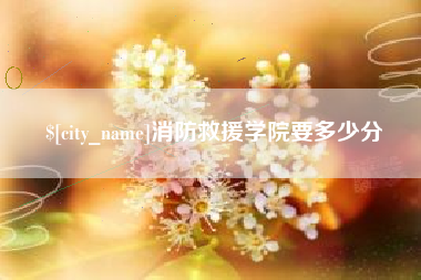 巴中消防救援学院要多少分