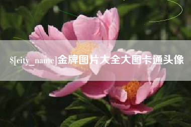巴中金牌图片大全大图卡通头像