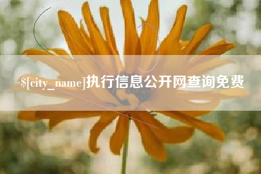 巴中执行信息公开网查询免费