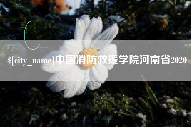 巴中中国消防救援学院河南省2020